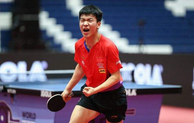 的指导下 的指导下